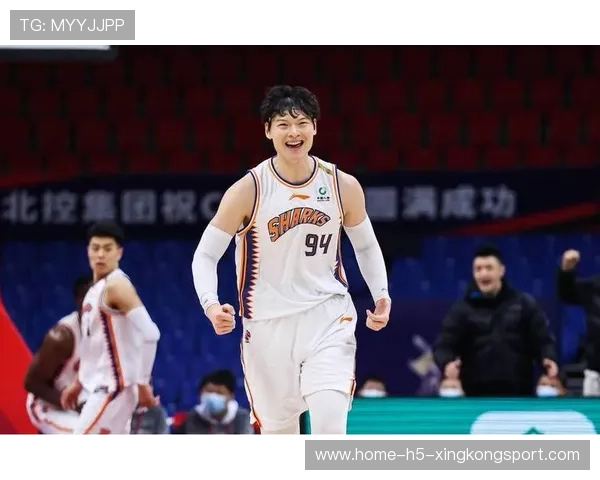 CBA王哲林力量与脚步训练同步提升，迈向巅峰的绝密秘籍