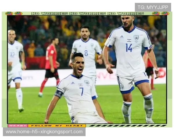 欧洲杯惊喜不断 芬兰淘汰斯洛文尼亚，欧洲杯芬兰和斯洛伐克出局