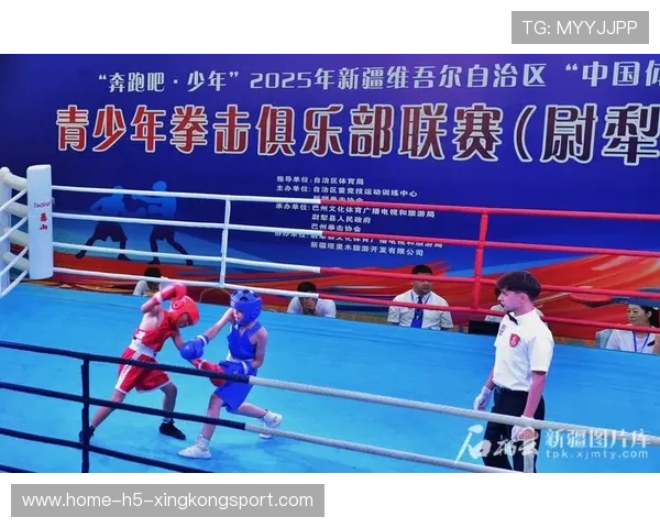 国际拳击选手境外比赛保障服务供应商名录发布，国际拳击联赛