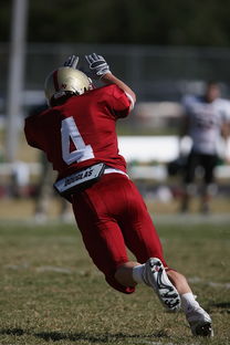 星空娱乐官网入口-击全运赛场｜跳水开赛首日，陈艺文林珊领衔广东队出战，陈艺文全运会跳水女子3米跳板夺金
